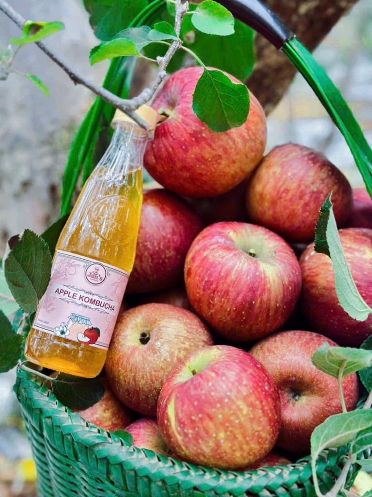 Kombucha Rosé 280ml (Chai nhựa)